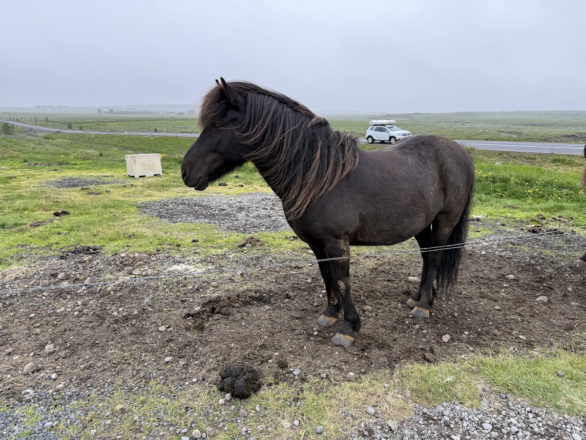 Brú horsefarm 照片 2