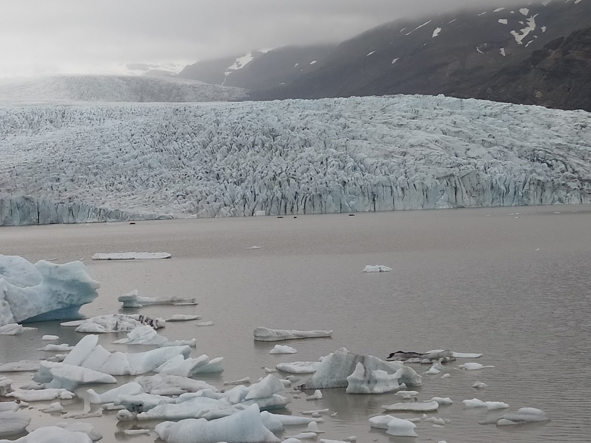 Glacier ice shelf 照片 2
